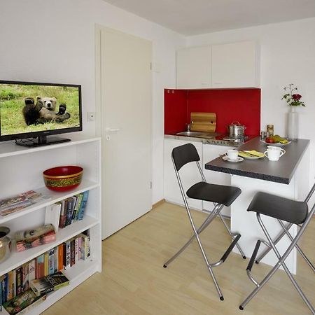 1-Zimmer-Apartment Хесдорф Экстерьер фото
